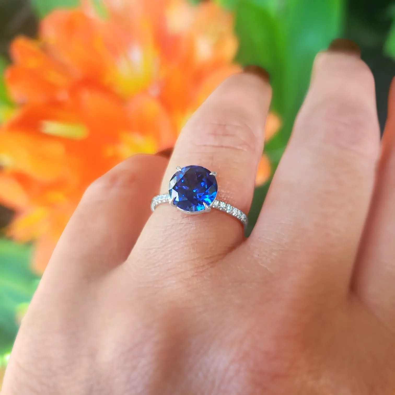 Bello Blue