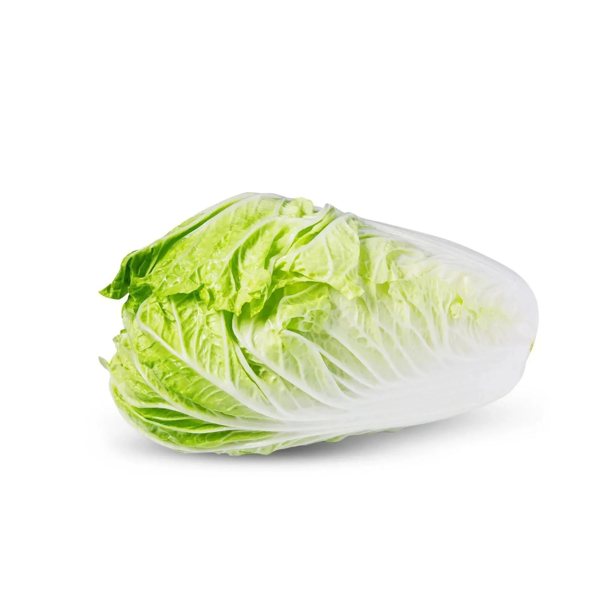 Chinese Cabbage